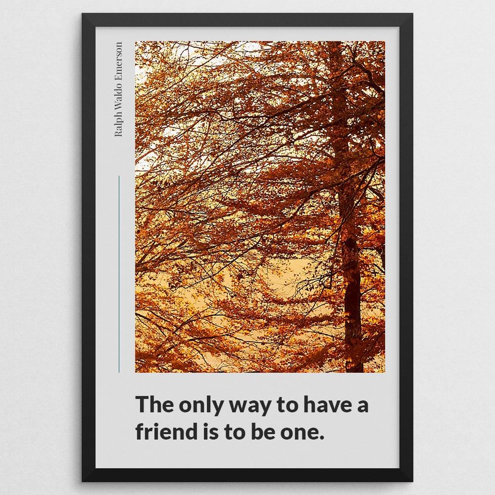the-only-way-to-have-a-friend-is-to-be-one._1942021-Q7-D14-0-49_1000_blackframe