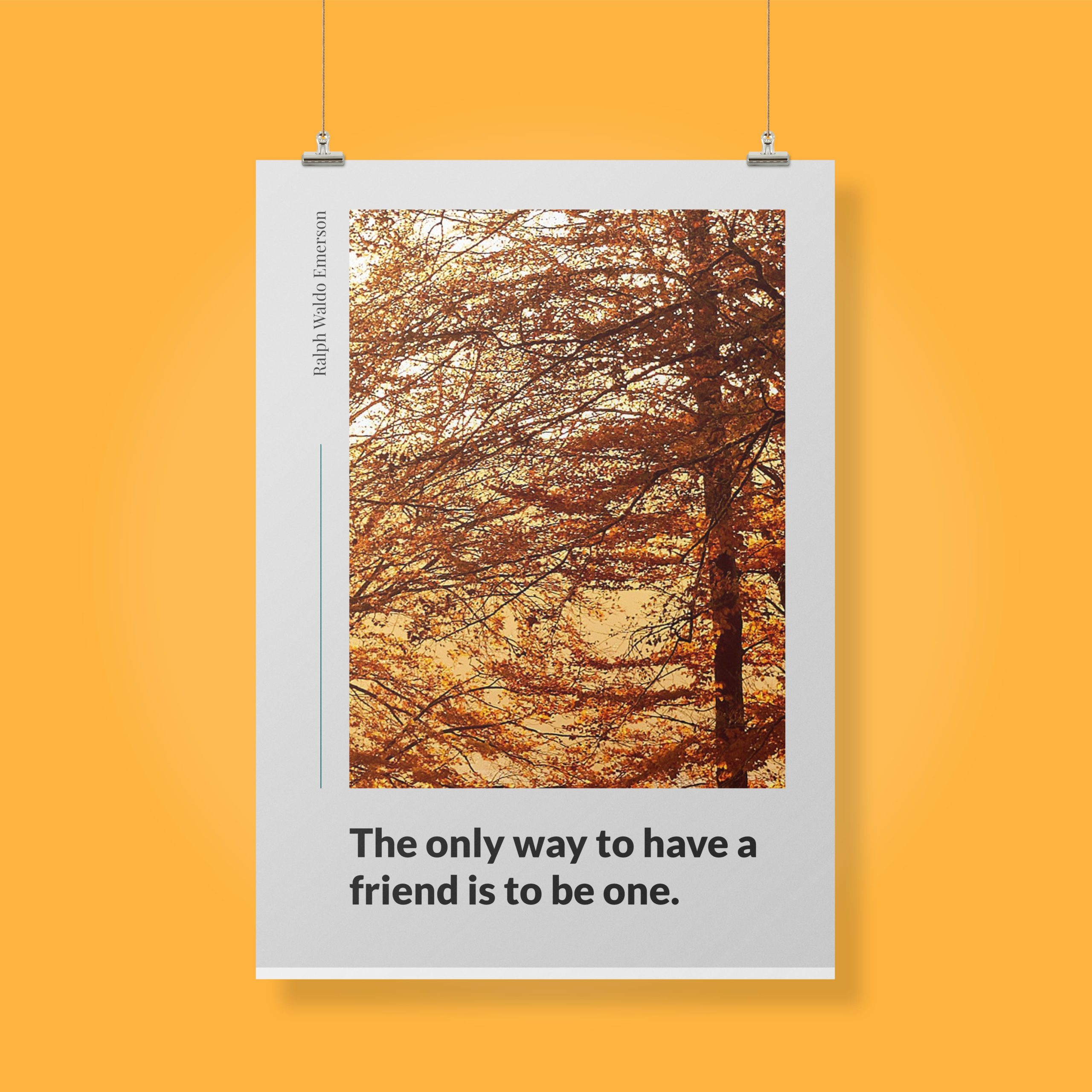 the-only-way-to-have-a-friend-is-to-be-one._1942021-Q7-D14-0-49_1000_clips_holding