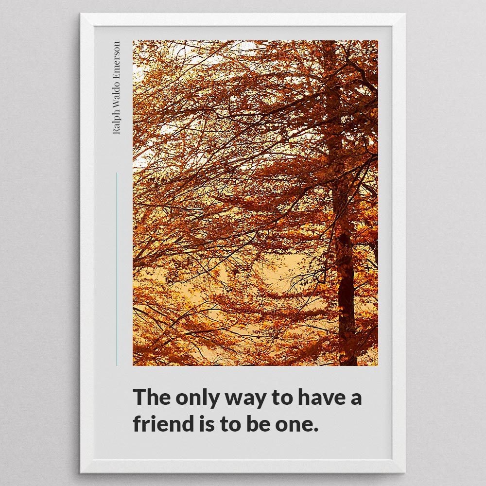 the-only-way-to-have-a-friend-is-to-be-one._1942021-Q7-D14-0-49_1000_whiteframe