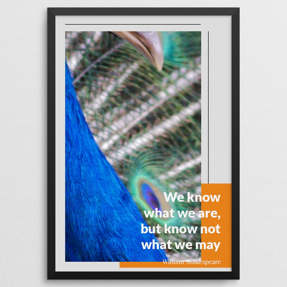 we-know-what-we-are,-but-know-not-what-we-may-be._1352021-Q33-D18D-0-6087_1000_blackframe