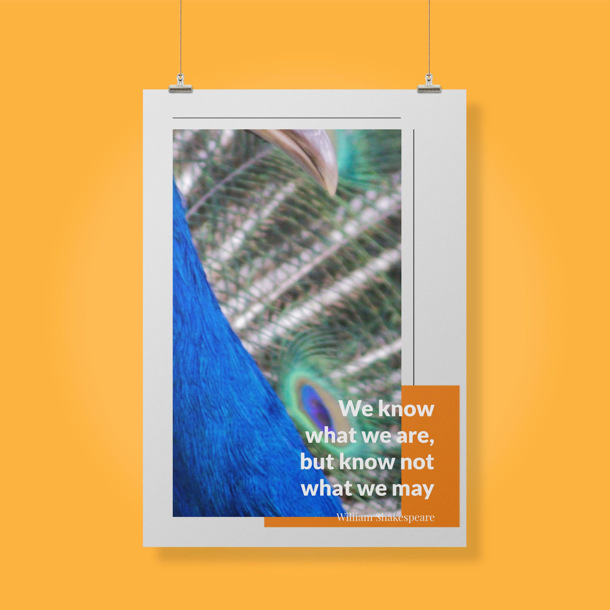 we-know-what-we-are,-but-know-not-what-we-may-be._1352021-Q33-D18D-0-6087_1000_clips_holding