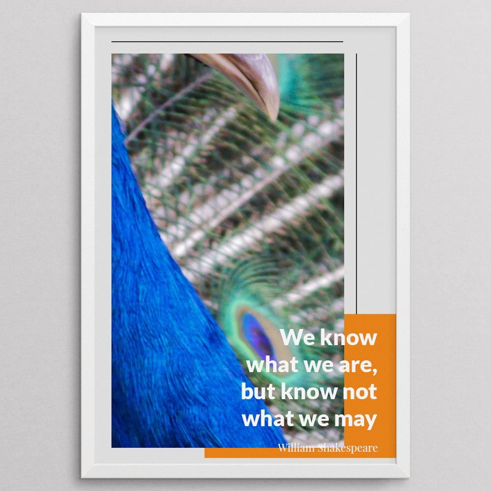 we-know-what-we-are,-but-know-not-what-we-may-be._1352021-Q33-D18D-0-6087_1000_whiteframe
