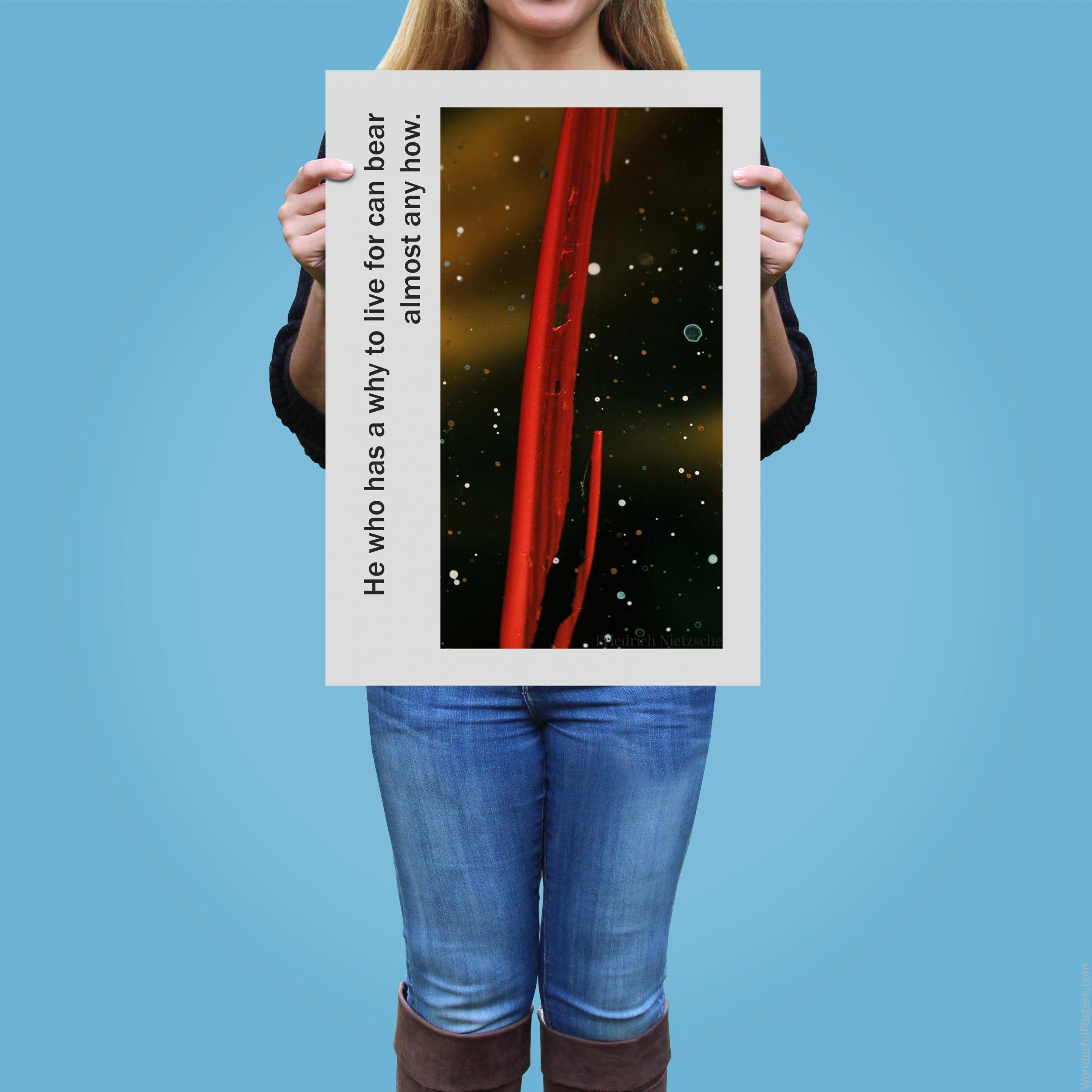he-who-has-a-why-to-live-for-can-bear-almost-any-how_2012022-Q500-D10-0-2418_1000_girlholding.jpg