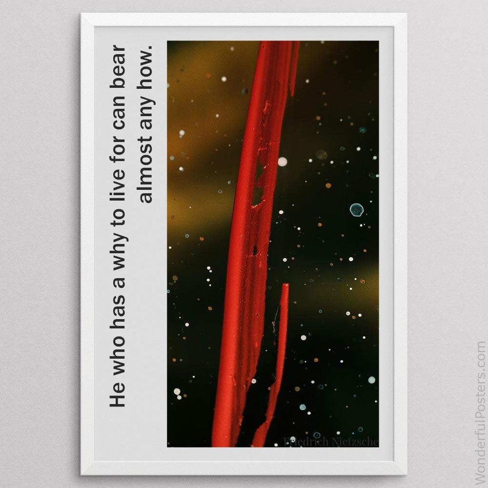 he-who-has-a-why-to-live-for-can-bear-almost-any-how_2012022-Q500-D10-0-2418_1000_whiteframe.jpg