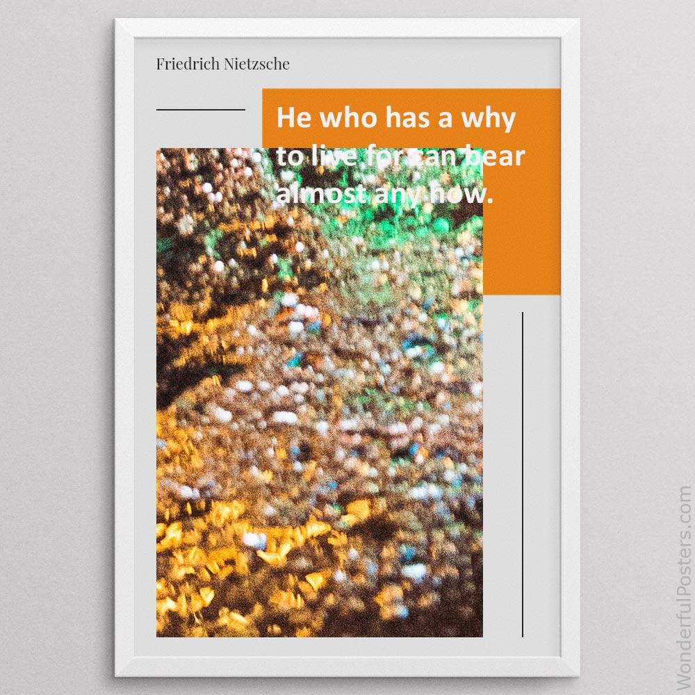 he-who-has-a-why-to-live-for-can-bear-almost-any-how_2012022-Q500-D22-0-5418_1000_whiteframe.jpg