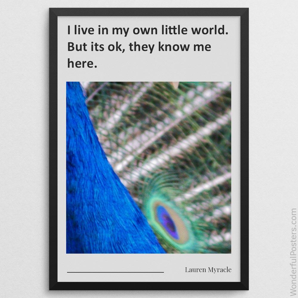 i-live-in-my-own-little-world-but-its-ok-they-know-me-here_2112022-Q500-D13-0-4169_1000_blackframe.jpg
