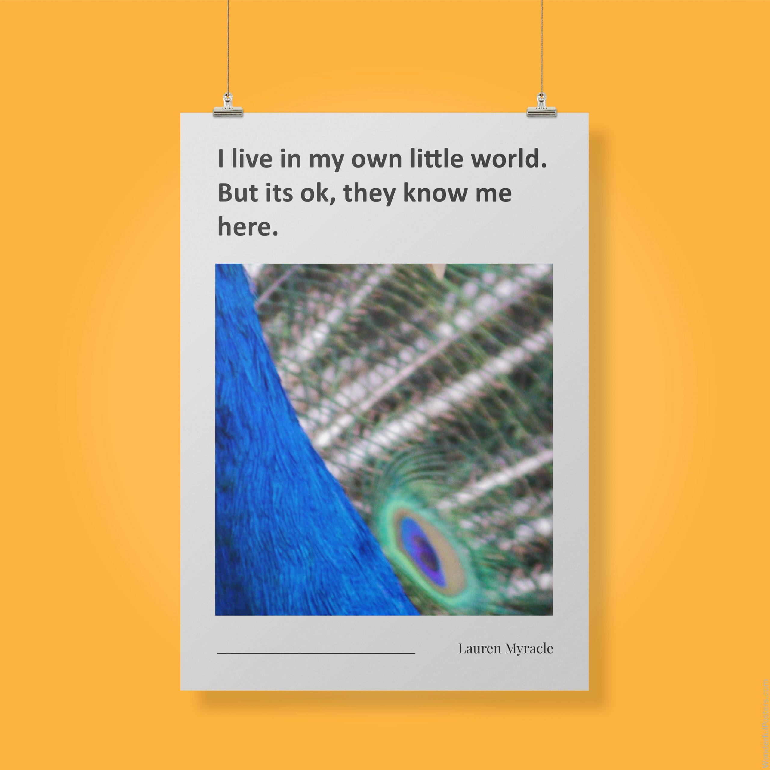 i-live-in-my-own-little-world-but-its-ok-they-know-me-here_2112022-Q500-D13-0-4169_1000_clips_holding.jpg