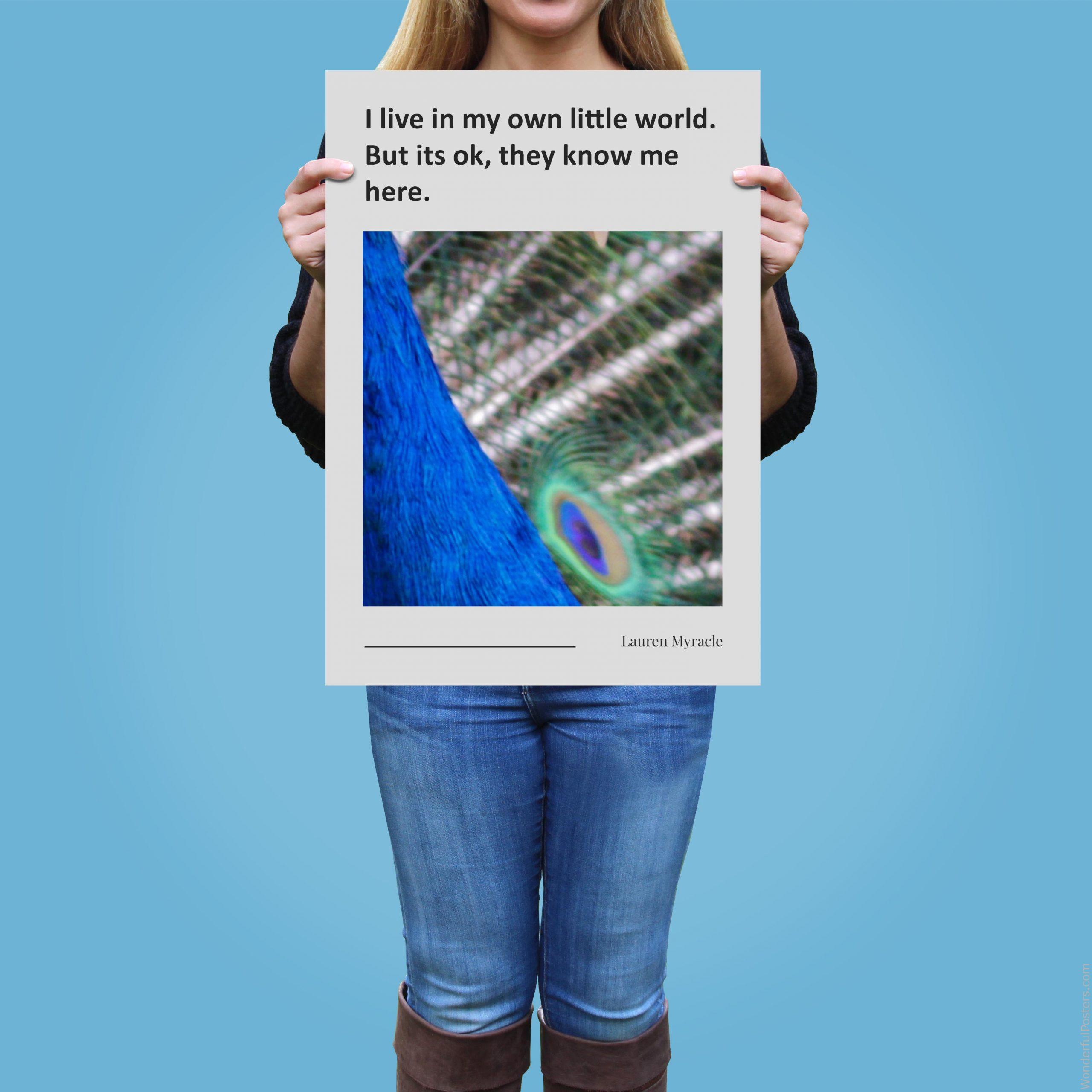 i-live-in-my-own-little-world-but-its-ok-they-know-me-here_2112022-Q500-D13-0-4169_1000_girlholding.jpg