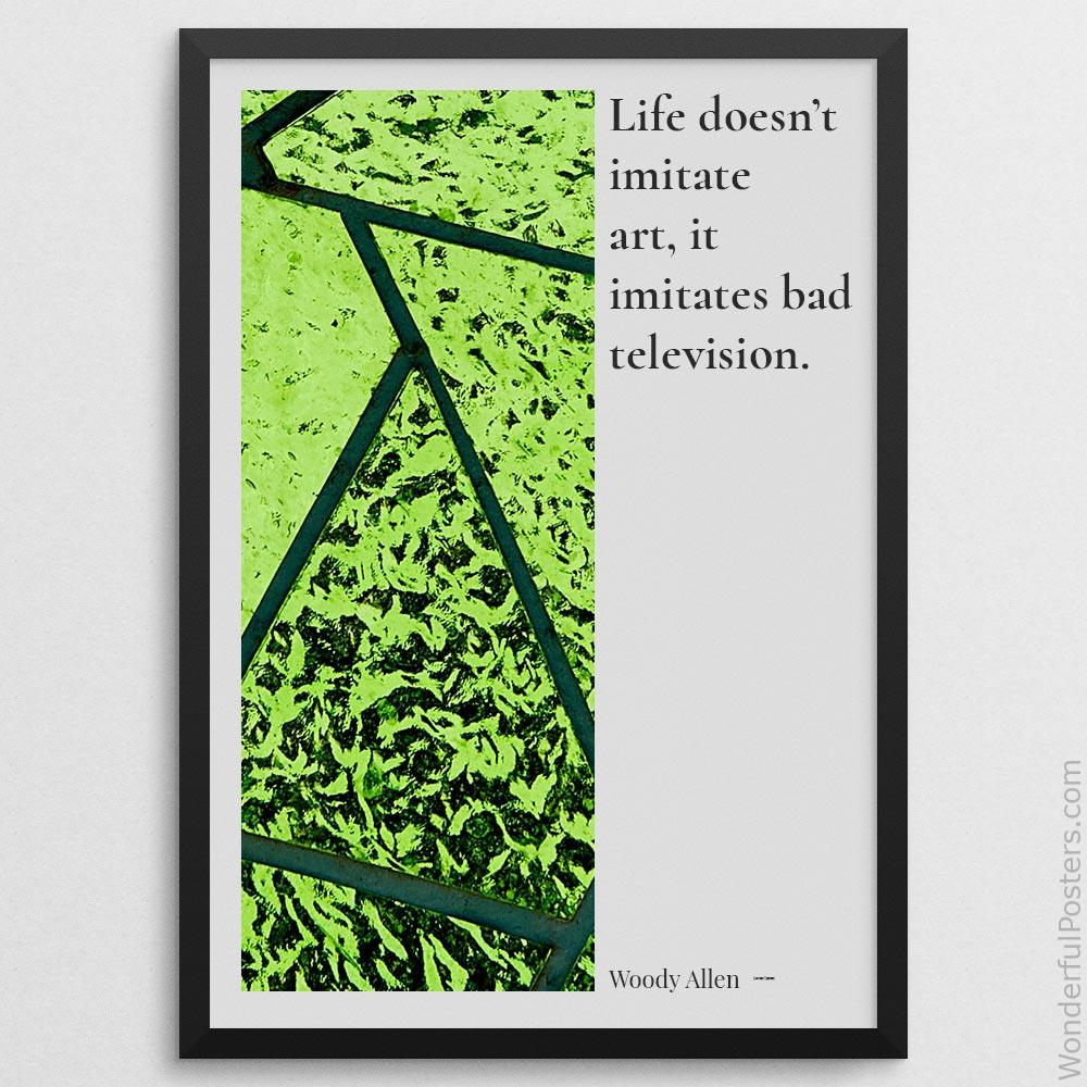 life-doesnt-imitate-art-it-imitates-bad-television_2112022-Q500-D24-0-7495_1000_blackframe.jpg