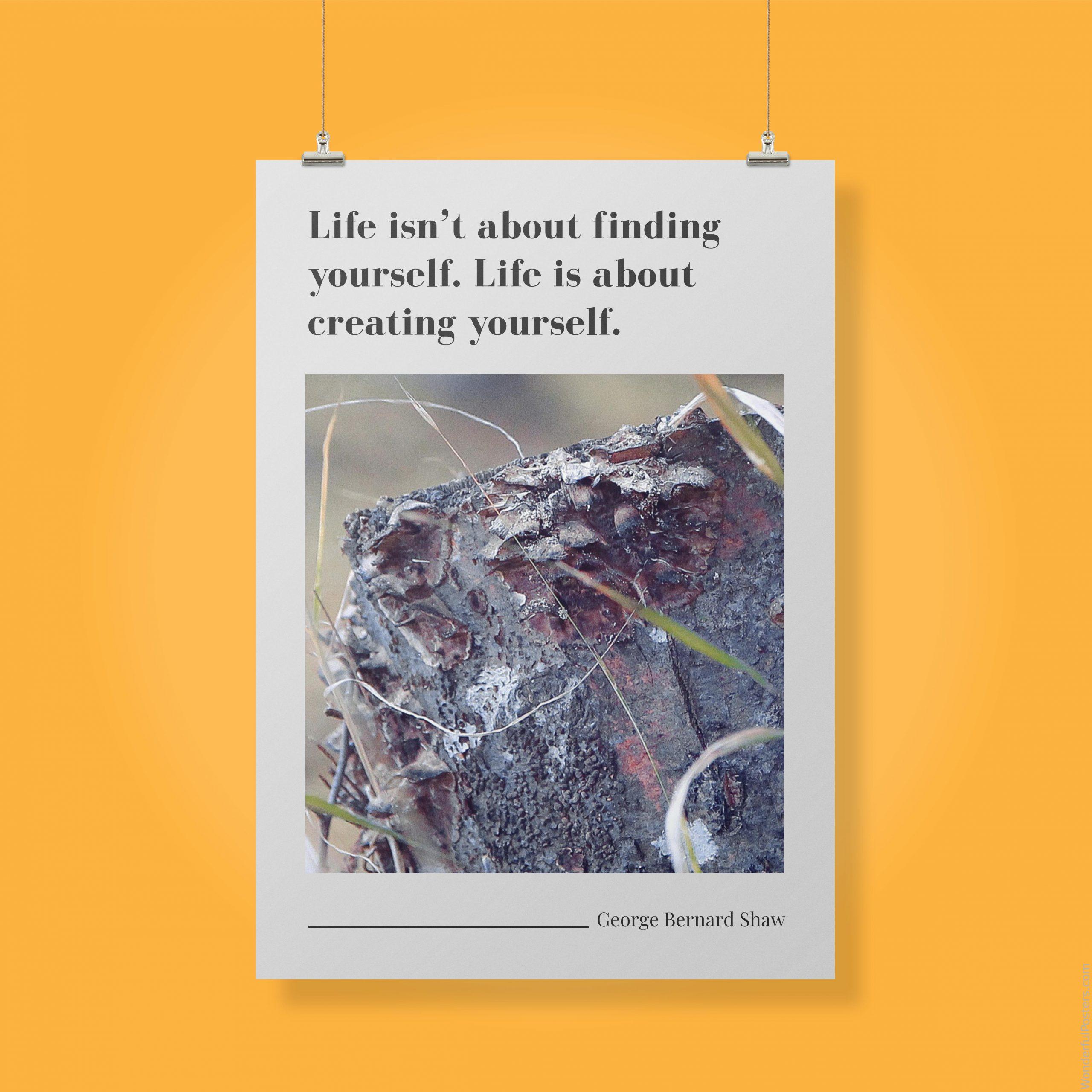 life-isnt-about-finding-yourself-life-is-about-creating-yourself_1912022-Q500-D13-0-9653_1000_clips_holding.jpg