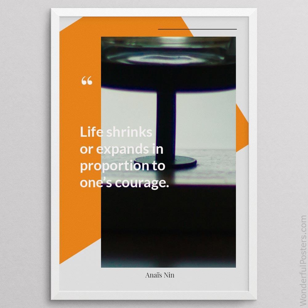 life-shrinks-or-expands-in-proportion-to-ones-courage_2012022-Q500-D21D-0-8419_1000_whiteframe.jpg
