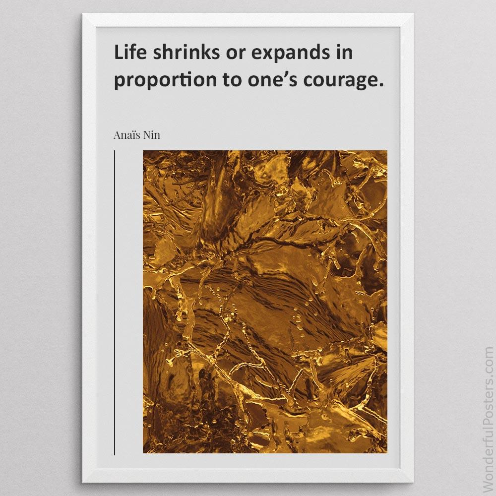 life-shrinks-or-expands-in-proportion-to-ones-courage_2012022-Q500-D23-0-8955_1000_whiteframe.jpg